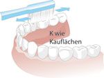 Putztechnik für Kauflächen